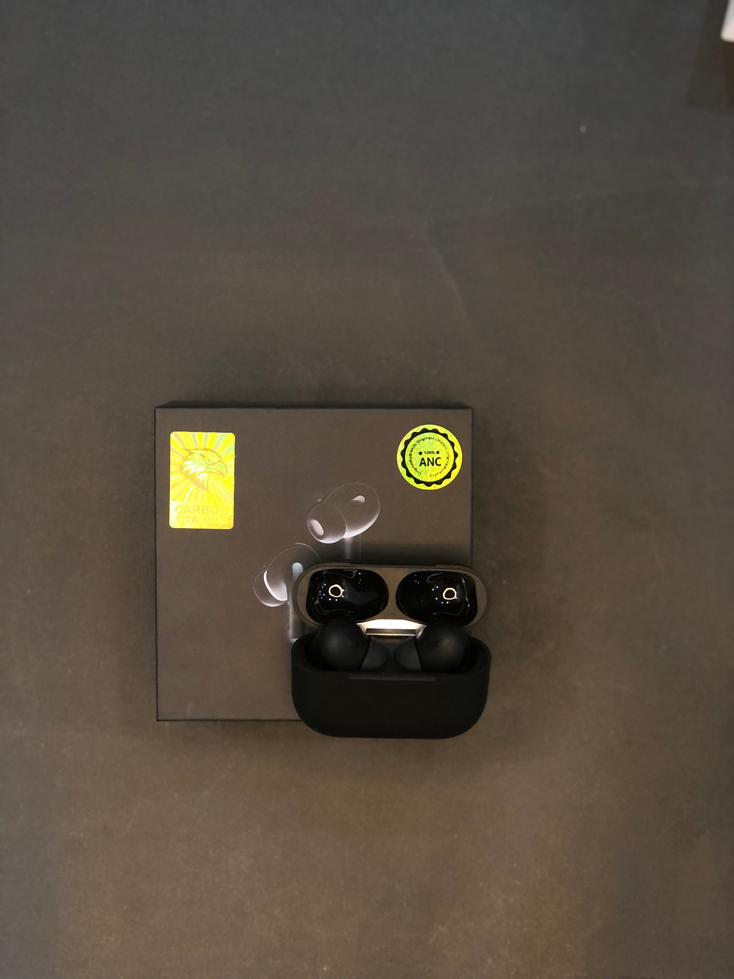 Airpods pro 2 (black)